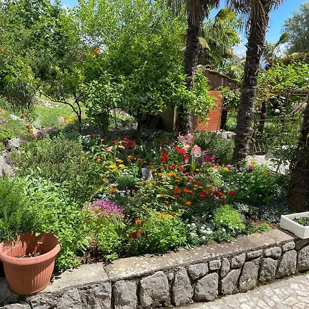 Apartament Miro Ičići