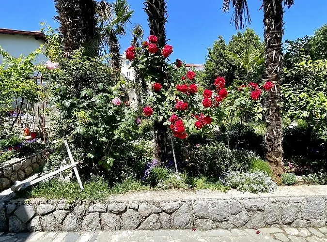 Apartament Miro